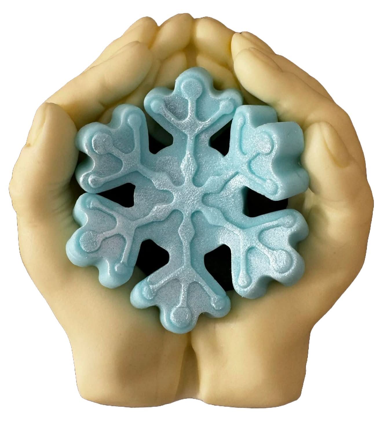 Decorazioni in zucchero commestibile, Decorazioni Invernali in Pasta di Zucchero Nati Shop