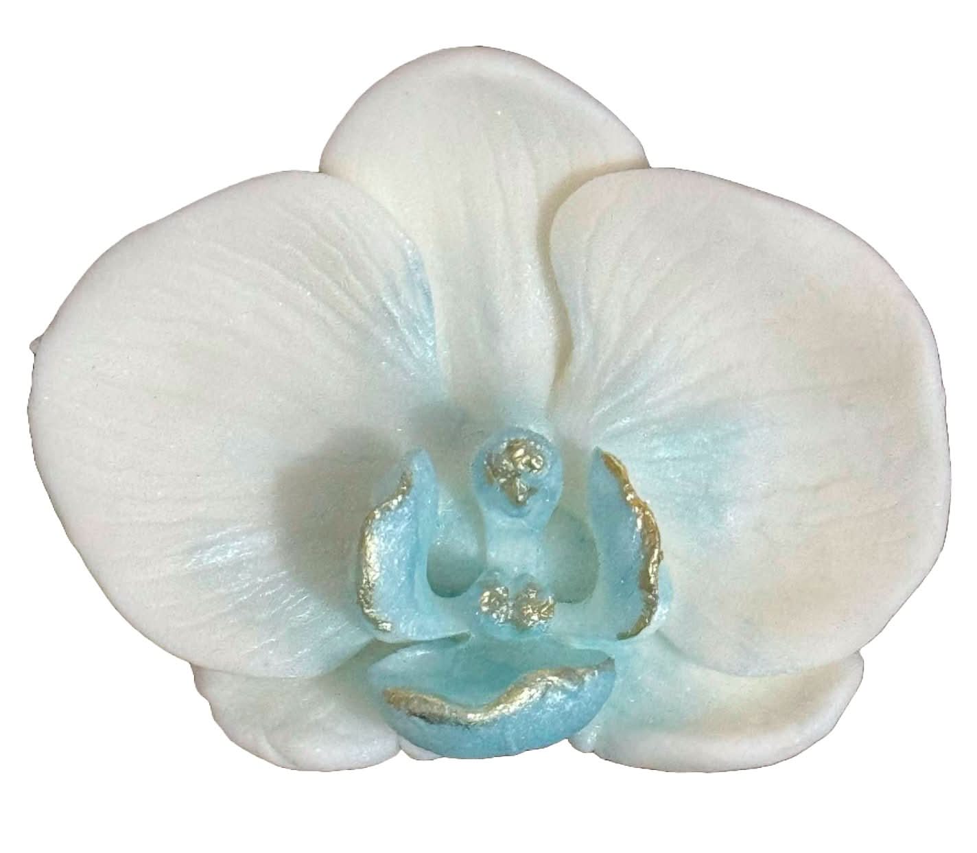 Decorazione in zucchero commestibile, Decorazioni Orchidea Bianca di Sugar Paste Nati Shop