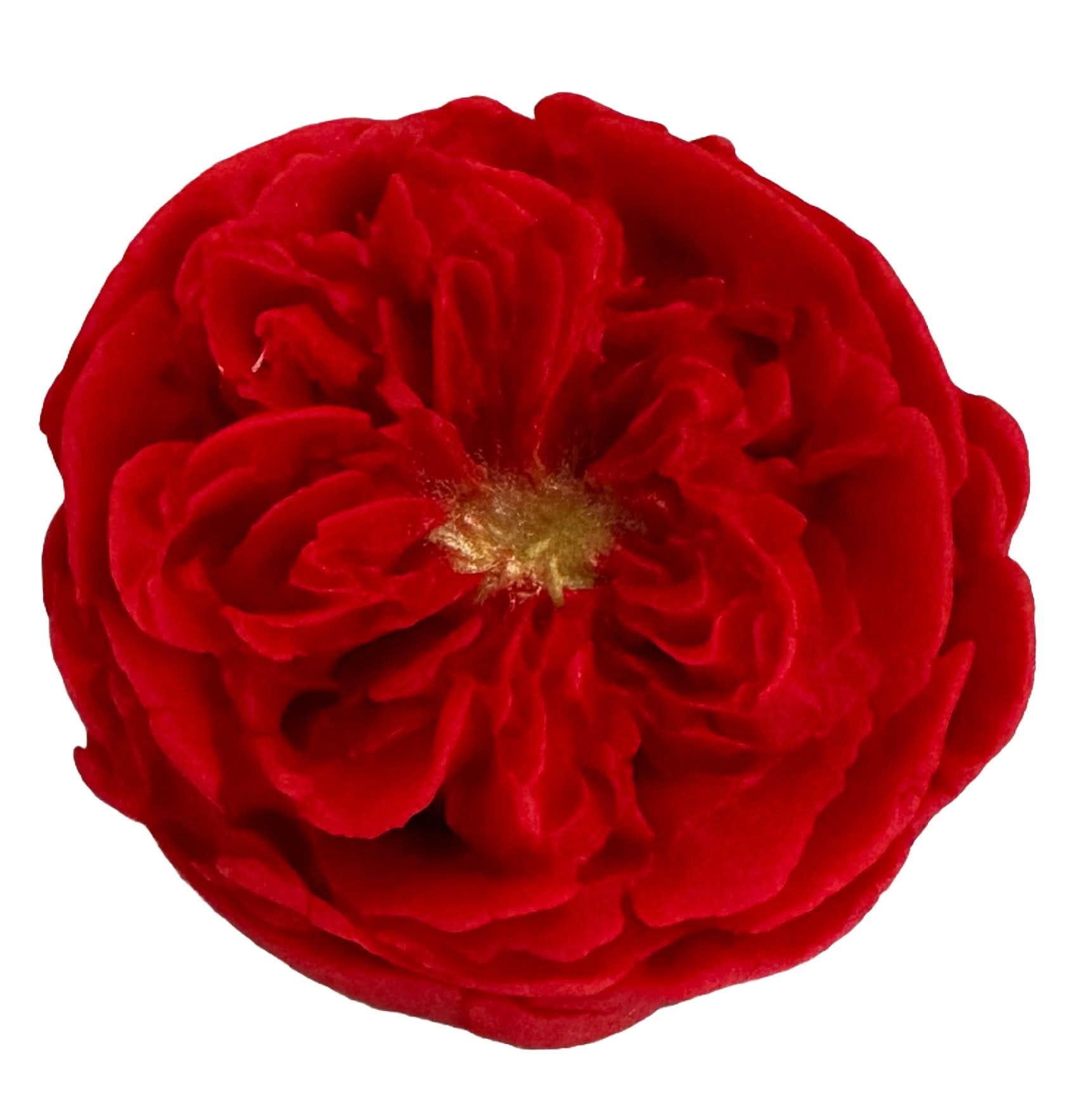 Decorazione in zucchero commestibile, Decorazioni Rose Tea di Sugar Paste Nati Shop