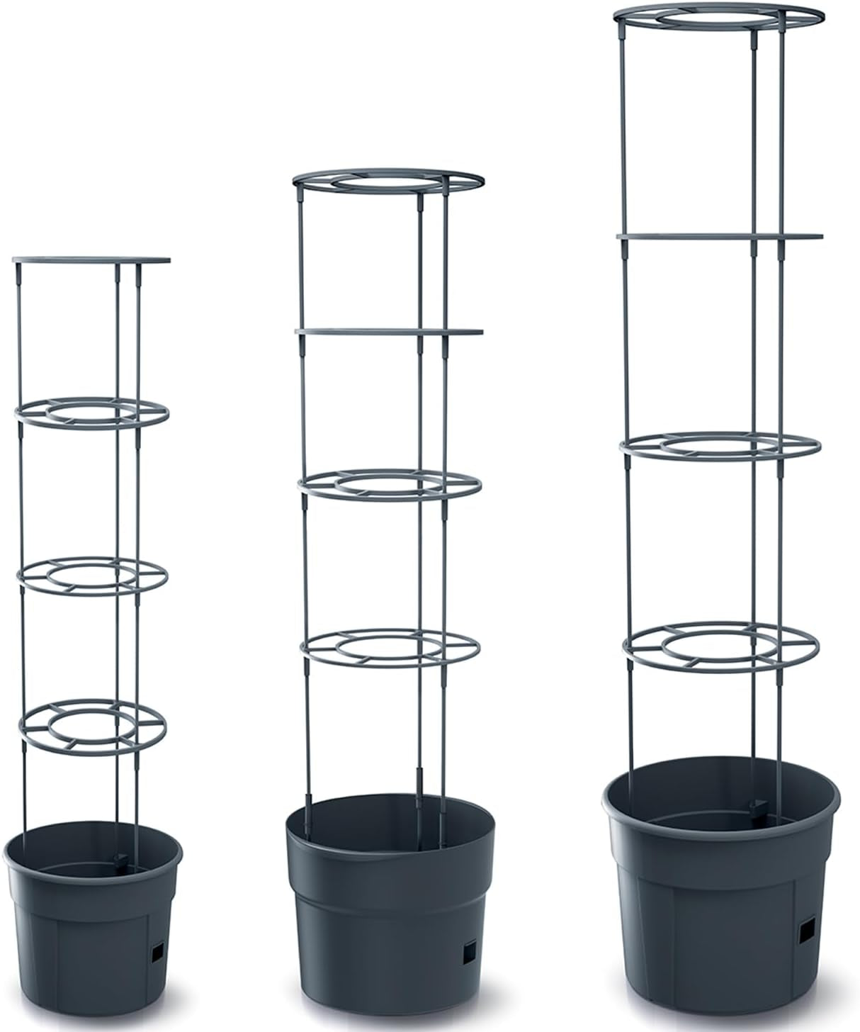 Vasi per piantine di pomodoro Prosperplast con traliccio – Robusta fioriera in plastica | Antracite | Resistente agli agenti atmosferici e ai raggi UV | 29,5 x 115,2 cm | Ideale per il giardino e il terrazzo