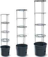 Vasi per piantine di pomodoro Prosperplast con traliccio – Robusta fioriera in plastica | Antracite | Resistente agli agenti atmosferici e ai raggi UV | 29,5 x 115,2 cm | Ideale per il giardino e il terrazzo