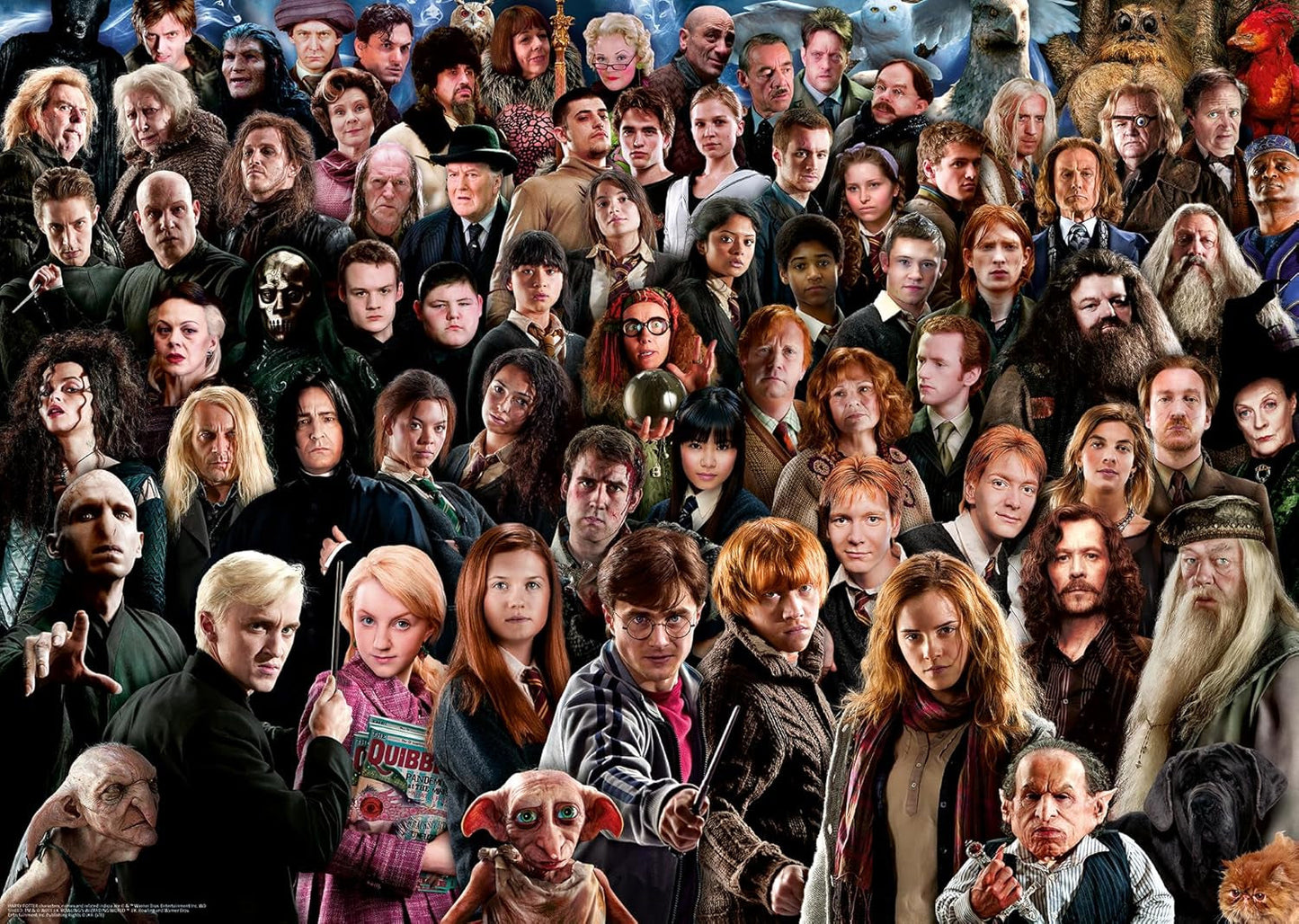 Ravensburger Harry Potter Puzzle da 1000 pezzi 12000457 - Oltre 70 personaggi del magico mondo di Hogwarts in un puzzle per adulti e bambini dai 14 anni in su Puzzle Naty Shop Tema Harry Potter