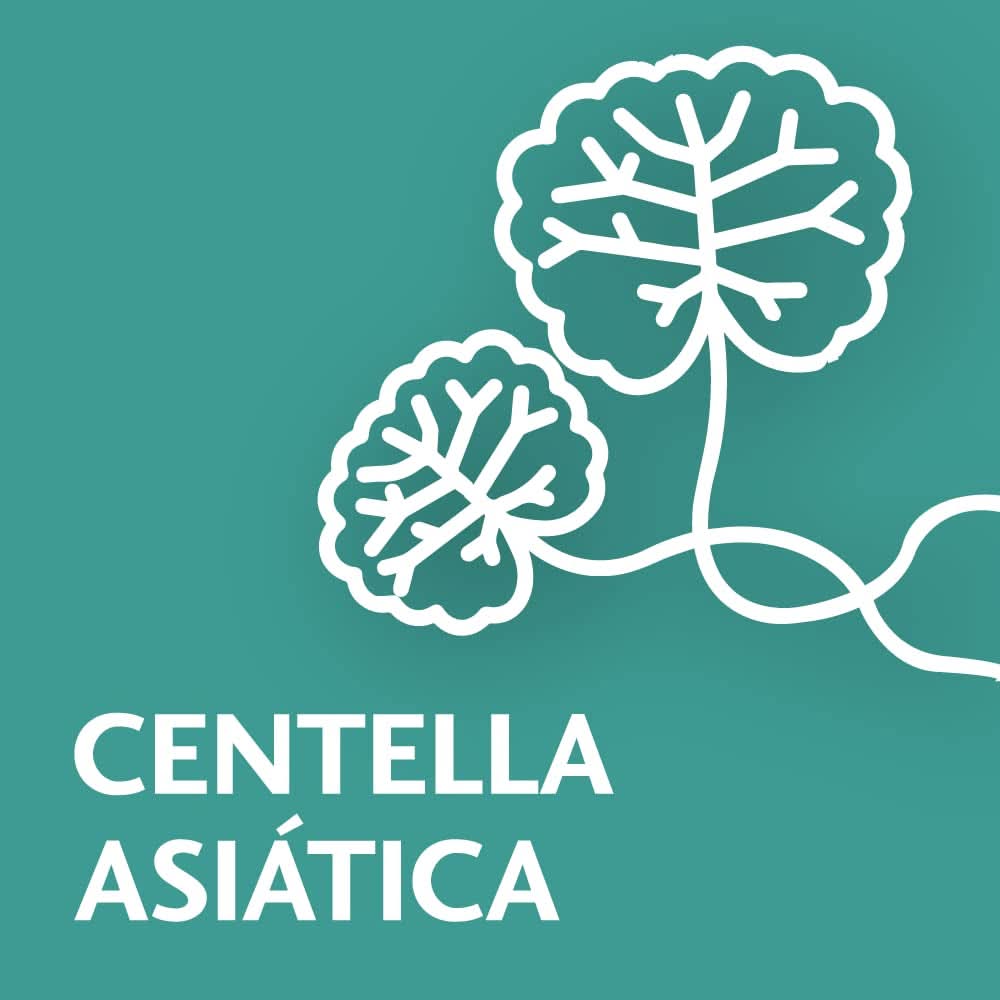 Novartis TROFOLASTIN Elasticity Accessori per la cura del capezzolo Alimentazione e allattamento Bebe Naty Shop