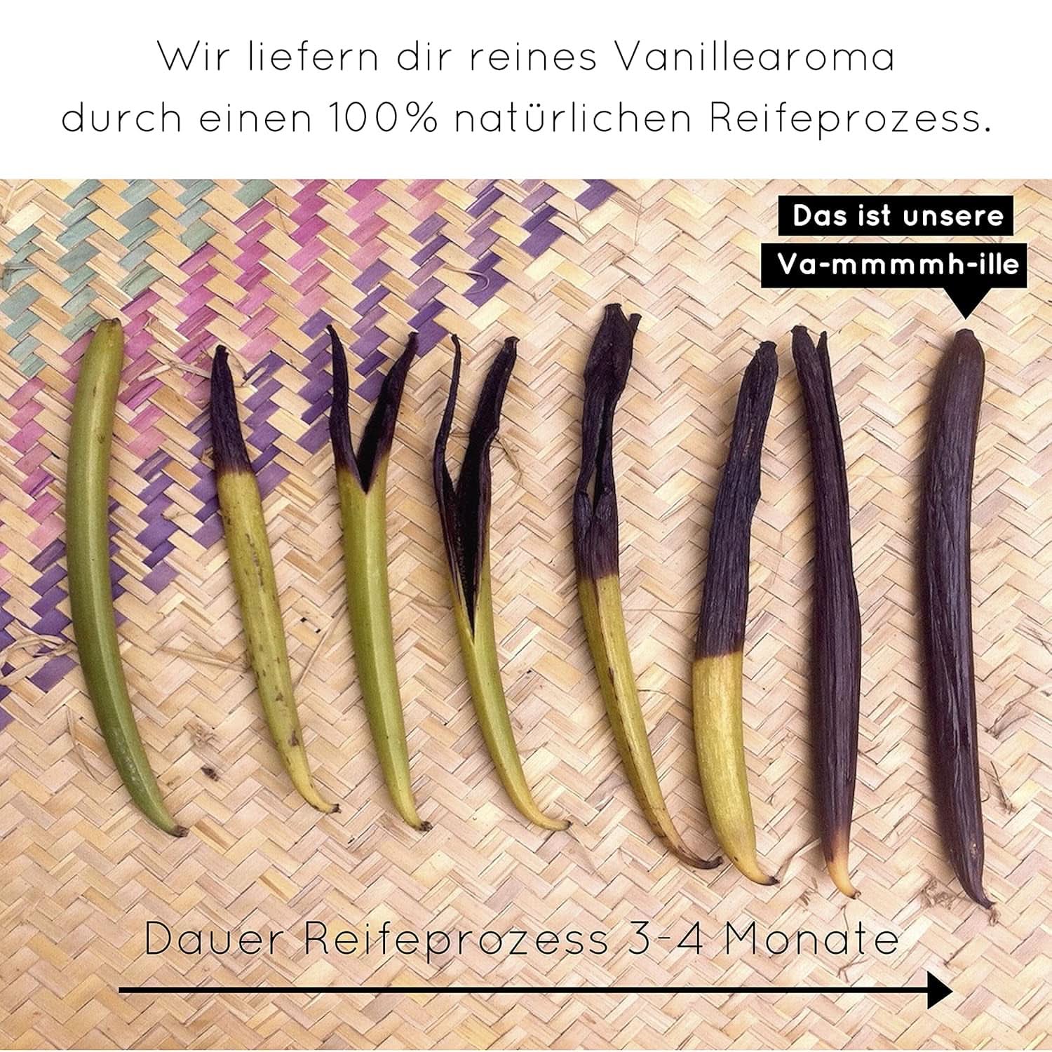 Vaniglia in polvere premium da veri baccelli di vaniglia, naturale, senza zucchero, senza additivi, commercio equo e solidale, vegana (40G senza confezione) da Vanilla Campaign® Flavours Naty Shop