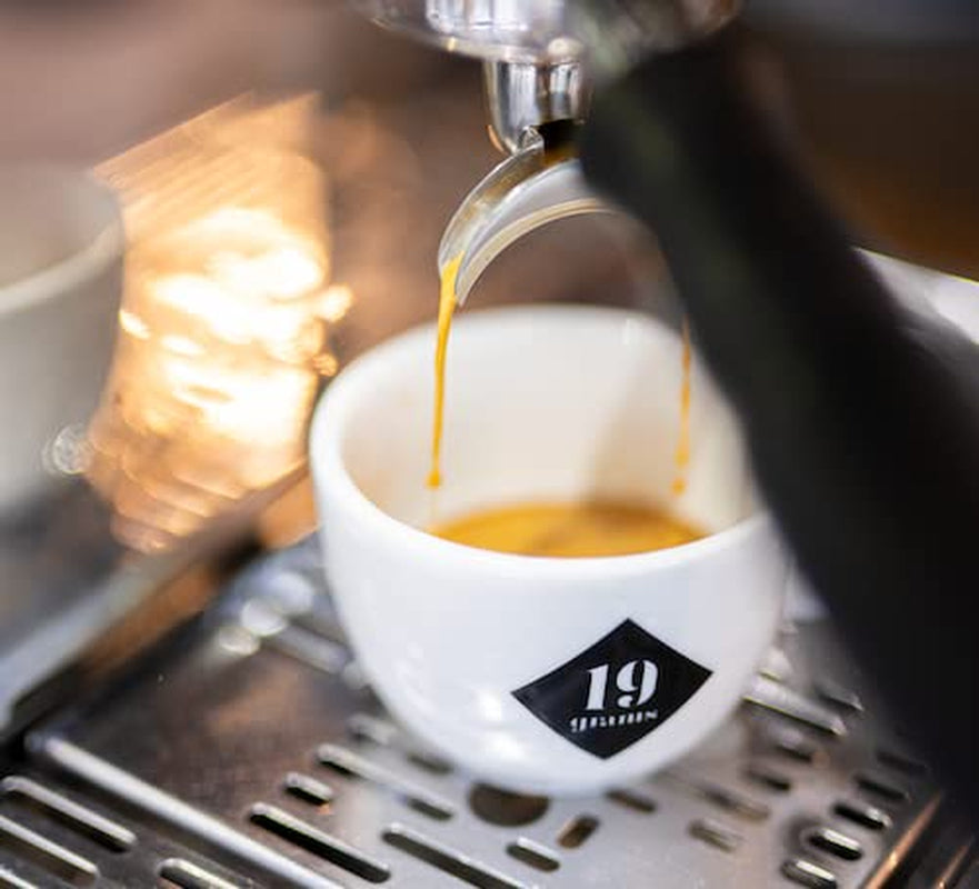 Espresso dal cuore selvaggio | 250 g di oca Bohnen equa e sostenibile | frisch geröstet | 100% Arabica Kaffeebohnen | caffè speciale | Kaffeerösterei da 19 grammi