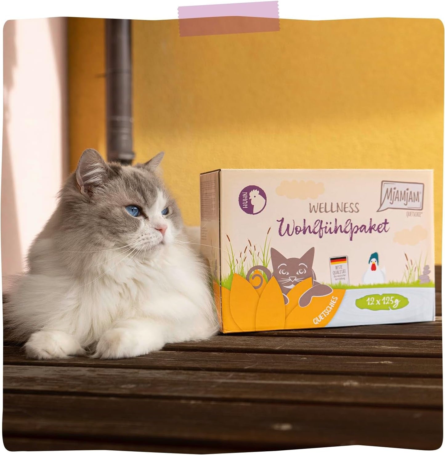 MjAMjAM - Alimento umido premium per gatti - Confezione benessere al pollo Confezione da 12 (12 x 125 g) Senza cereali con carne extra