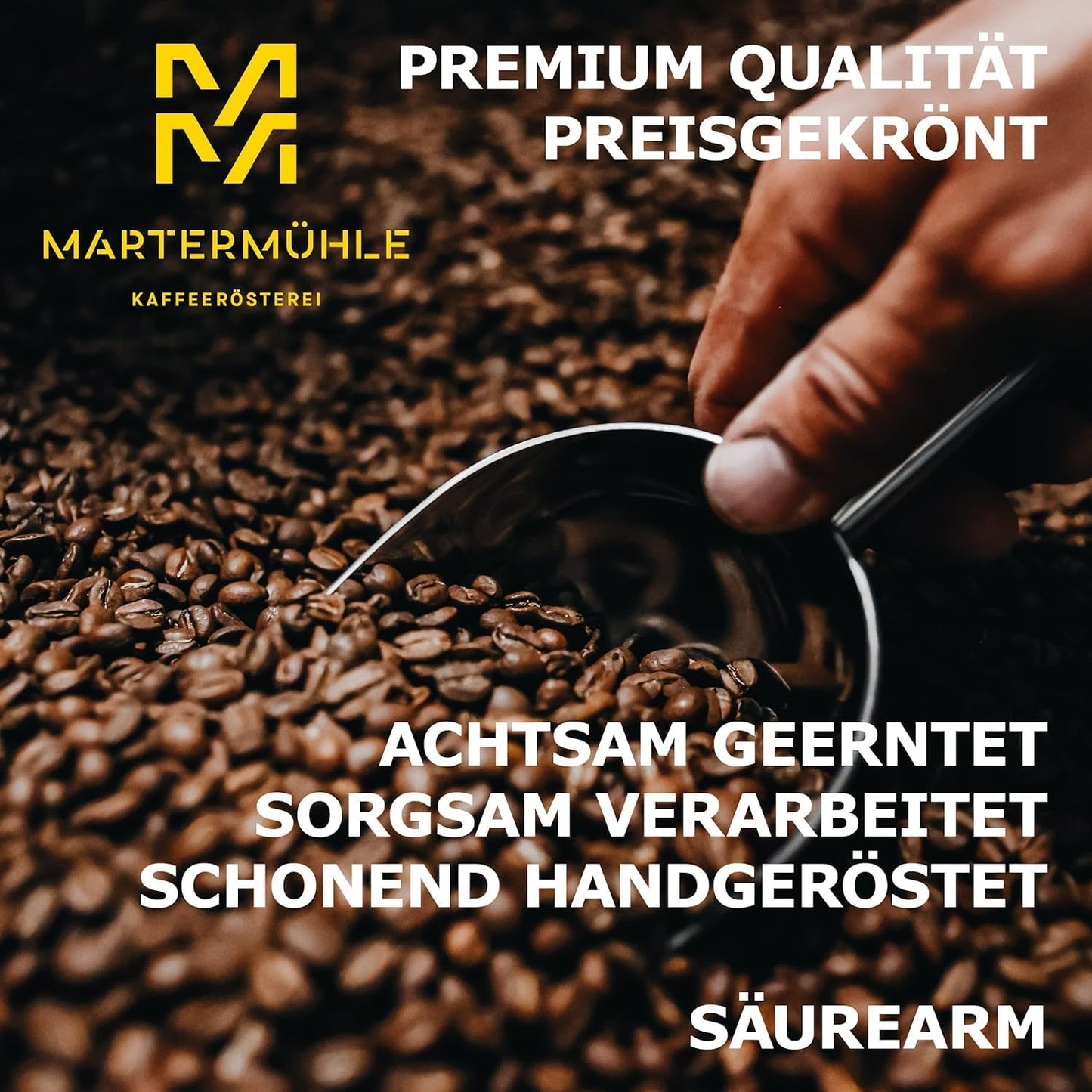 Chicchi di caffè espresso Martermühle Bike 500g Strong | Arabica/Robusta | Gusti: Noci di macadamia, cioccolato al latte | Chicchi di caffè espresso interi tostati leggermente, bassa acidità