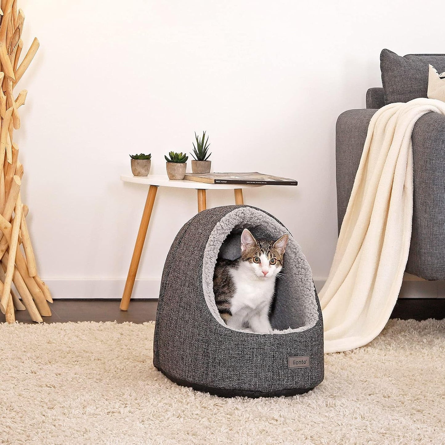 Coperte e Arredi, Animali Domestici, Grotte e Casette, Gatti, Letti per gatti, Gatti - Letti, materassi