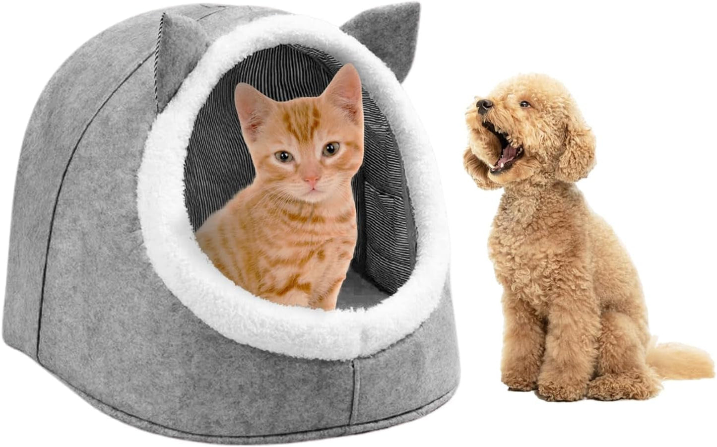 Coperte e Arredi, Animali Domestici, Grotte e Casette, Gatti, Letti per gatti, Gatti - Letti, materassi