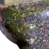 ROYAL THAI RICE - Riso colloso nero - 10 x 1 kg - Confezione multipla