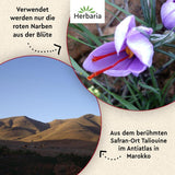 Herbaria Safran-Fäden bio 0,5g in vetro – SafranFäden bio aus dem bereicht Safran-Ort Taliouine in Marokko – Safranfäden in Premium Bio-Qualität – Saffron Premium - Safran première catégorie