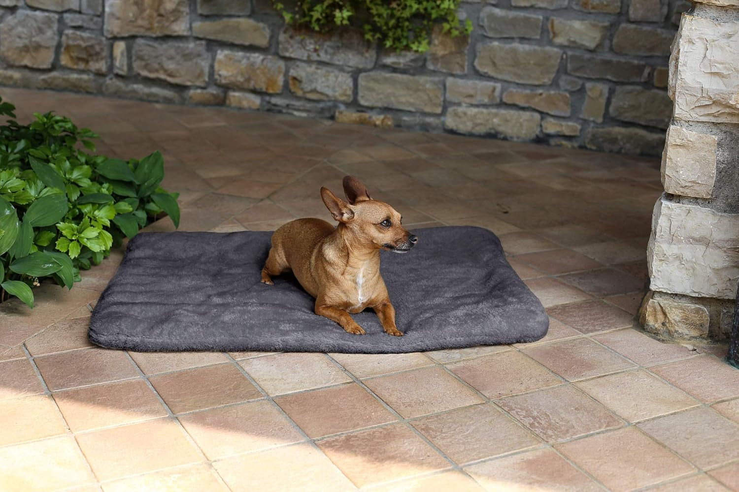 Sogni E Capricci Tappetino Super Soft, Crema, 104X75CM, Poliestere, Piumini e Trapunte Naty Shop Grigio 62X50Cm