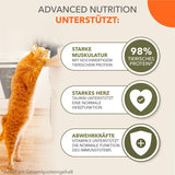 IAMS Delights Land Collection Cibo umido per gatti senza cereali - Confezione con varietà di carne Confezione multipla di cibo umido senza cereali per gatti da 1 anno in su 12 x 85 g
