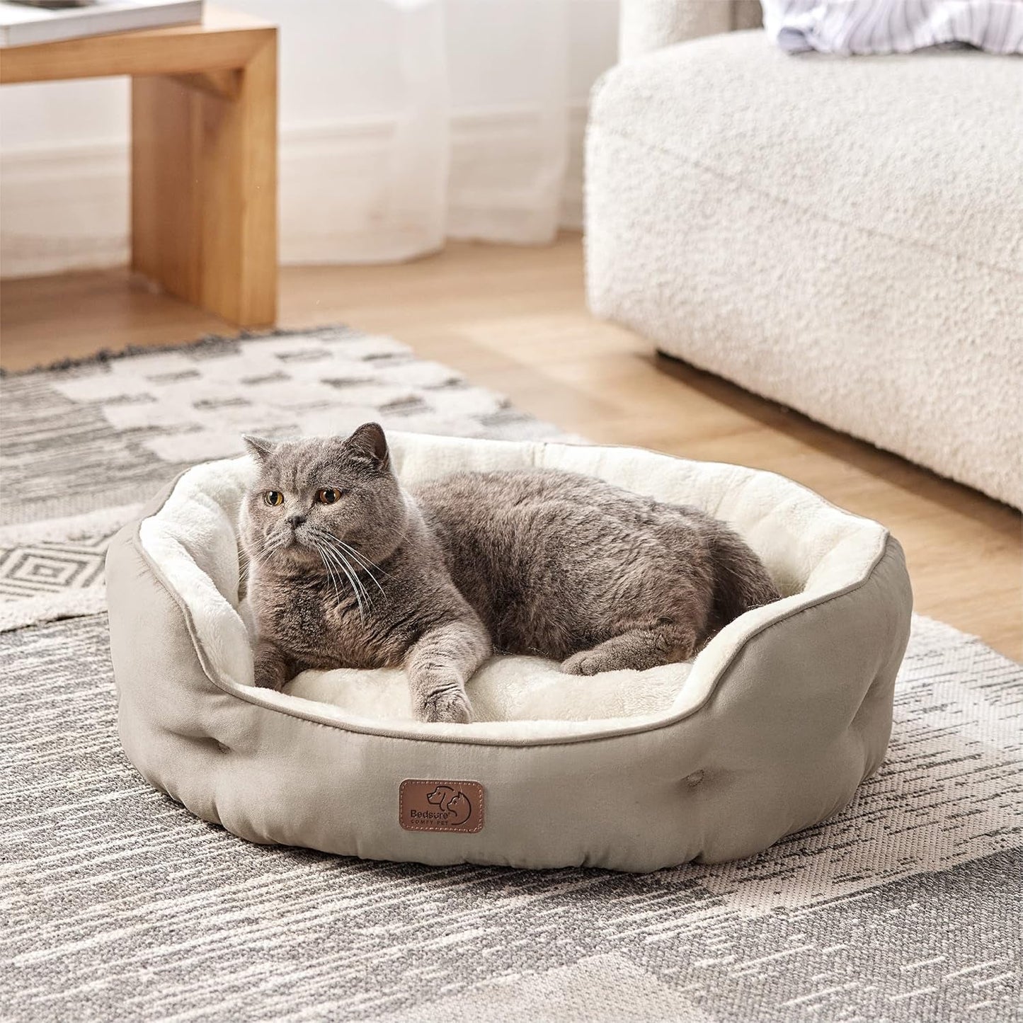Letti e Divani, Coperte e Arredi, Animali Domestici, Gatti, Letti per gatti, Gatti - Letti, materassi