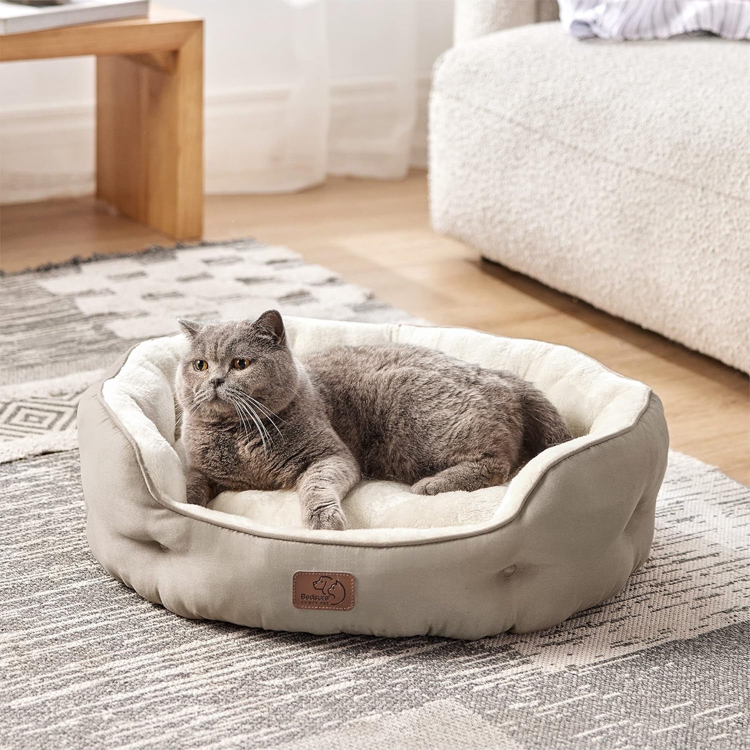 Letti e Divani, Coperte e Arredi, Animali Domestici, Gatti, Letti per gatti, Gatti - Letti, materassi