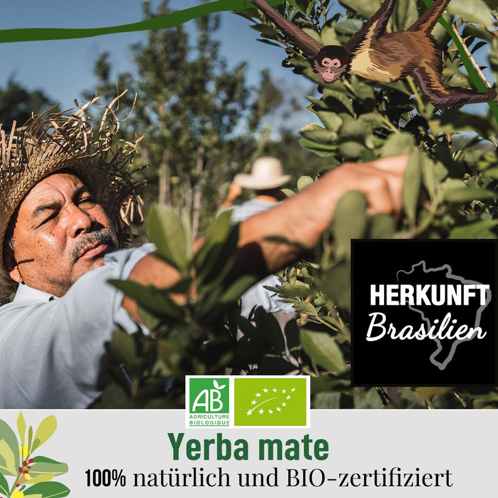 ORIGEENS BIO YERBA MATE CON LIMONE E ZENZERO 200 G - Il tè energizzante I Tè Yerba Mate biologico, non tostato, foglie, senza gambi e polvere