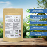 Tè Matcha biologico in polvere premium 100g Tè verde di altissima qualità dal Giappone Kagoshima - Perfetto per frullati Matcha Latte Tè verde giapponese Vegano senza additivi Confezione senza plastica