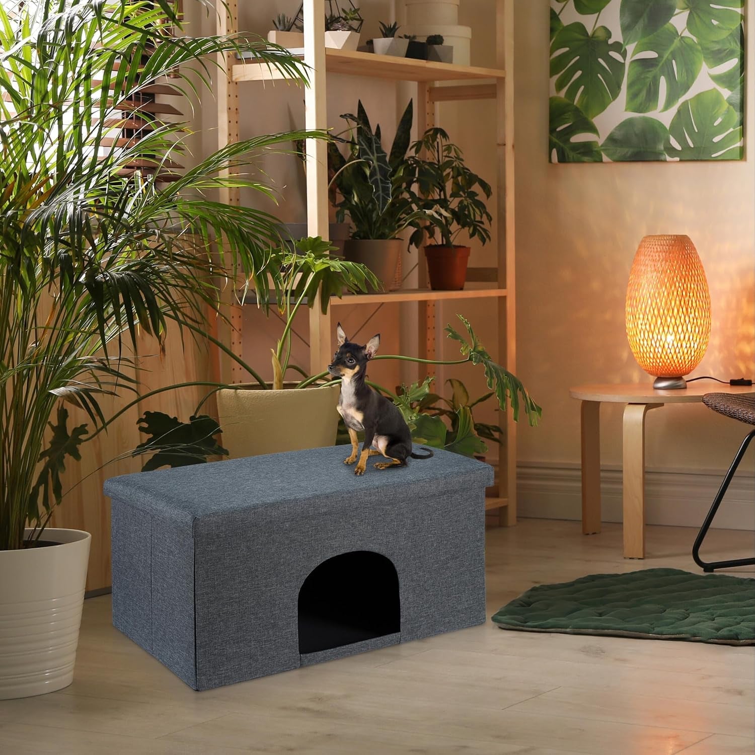 Coperte e Arredi, Animali Domestici, Grotte e Casette, Gatti, Letti per gatti, Gatti - Letti, materassi