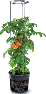 Vasi per piantine di pomodoro Prosperplast con traliccio – Robusta fioriera in plastica | Antracite | Resistente agli agenti atmosferici e ai raggi UV | 29,5 x 115,2 cm | Ideale per il giardino e il terrazzo