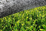Polvere Matcha BIO 100 g I Senza additivi - 100% naturale I Tè Matcha giapponese premium I Tè verde in polvere di