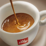 Caffè Illy Arabica Selection Guatemala in grani da macinare, scatola da 250g