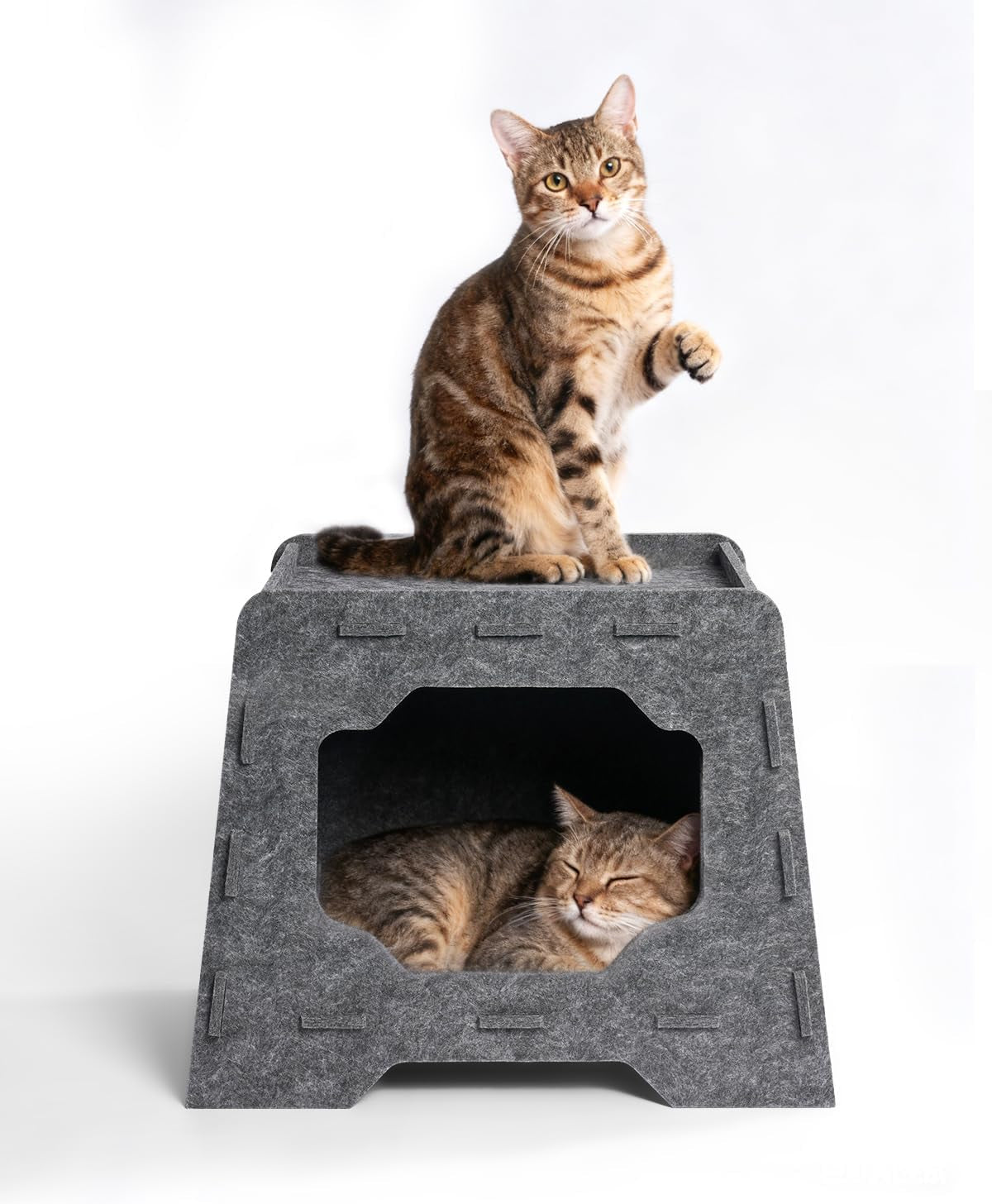Coperte e Arredi, Animali Domestici, Grotte e Casette, Gatti, Letti per gatti, Gatti - Letti, materassi