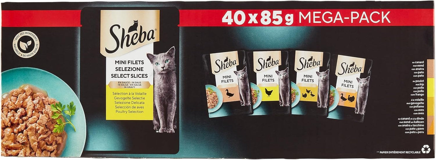 Sheba Mini Filetti - Filetti Freschi in Salsa, Selezione di Pollame per Gatti Adulti - 40 x 85g