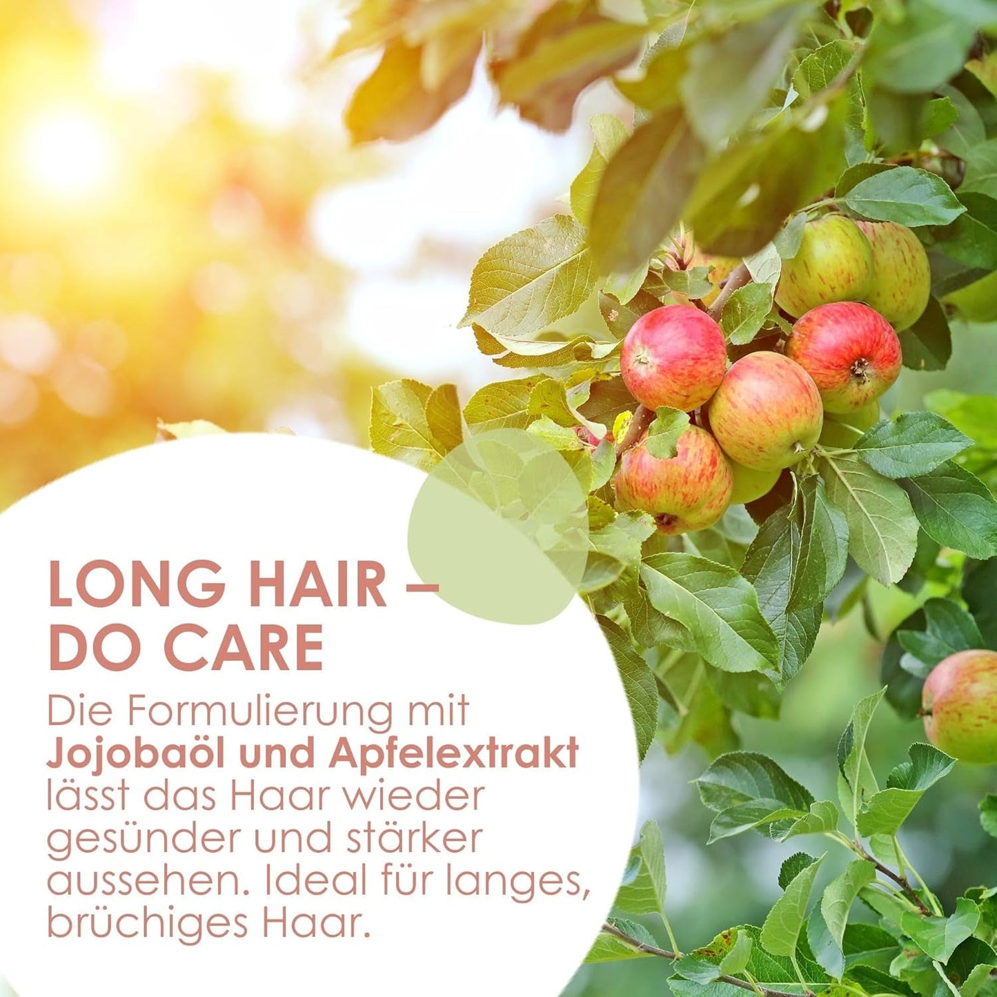 Jean & Len Care Shampoo Jojoba & Mela, nutre i capelli lunghi e fragili, 300 ml Doccia e bagno Jean & Len