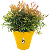 elho Loft Urban Round 40 - Vasi da fiori da esterno - 100% plastica riciclata - Ø 38,5 x H 35,3 cm - Giallo/Ocra