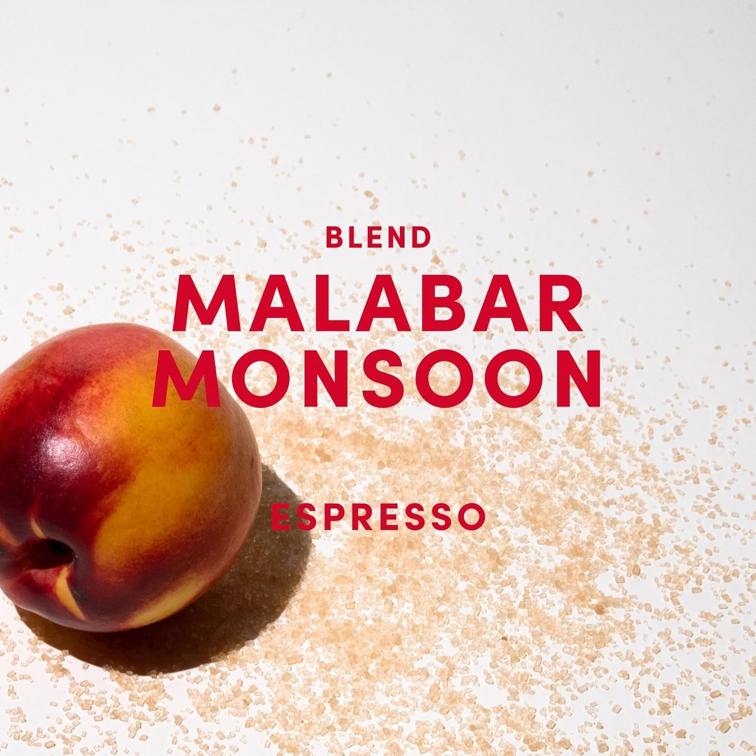 Miscela Malabar Monsoon Espresso - 100% Arabica da Indien, Brasilien & Guatemala - säurearm & ausgefungen mit Nektarine, Honig & Haselnuss - ganze Bohnen, tostatura media scura - 1kg