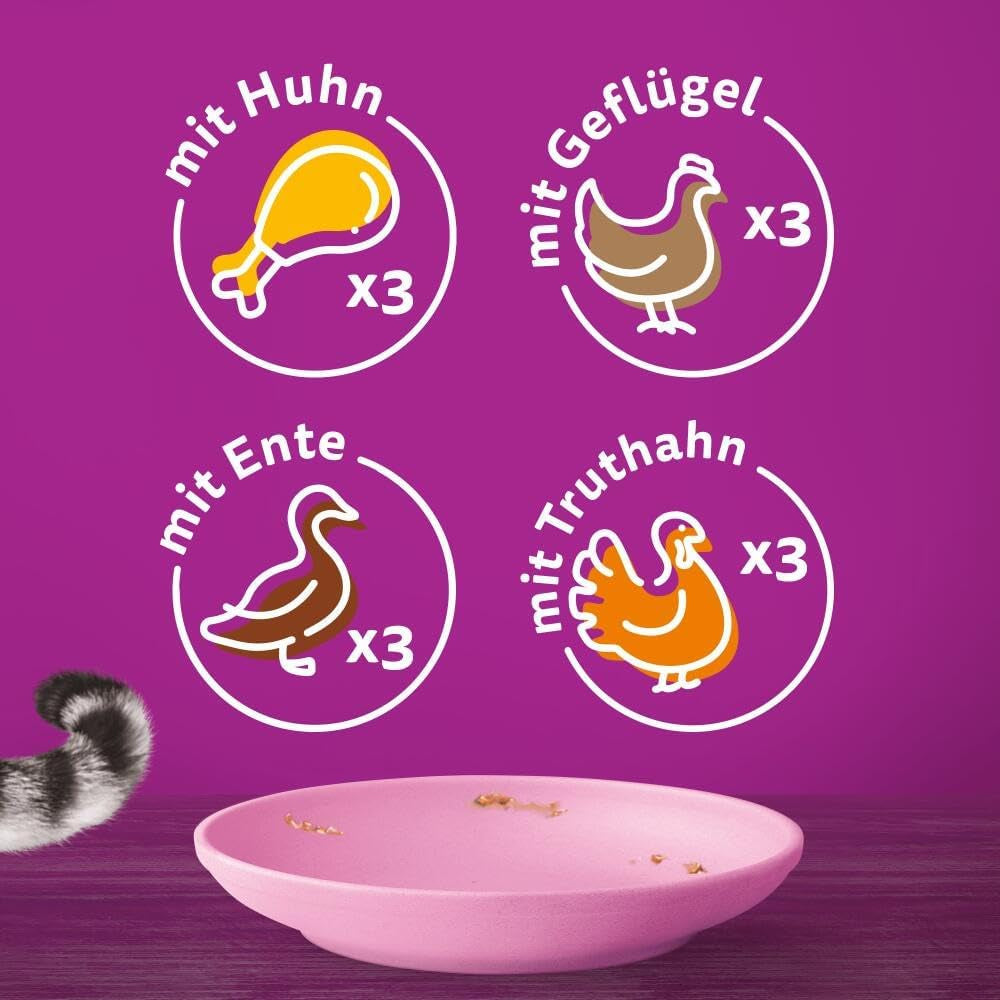 WHISKAS Junior Bustine di Alimenti Umidi, Confezione Multipla, Selezione di Carne di Pollame in Gelatina, 12 x 85g