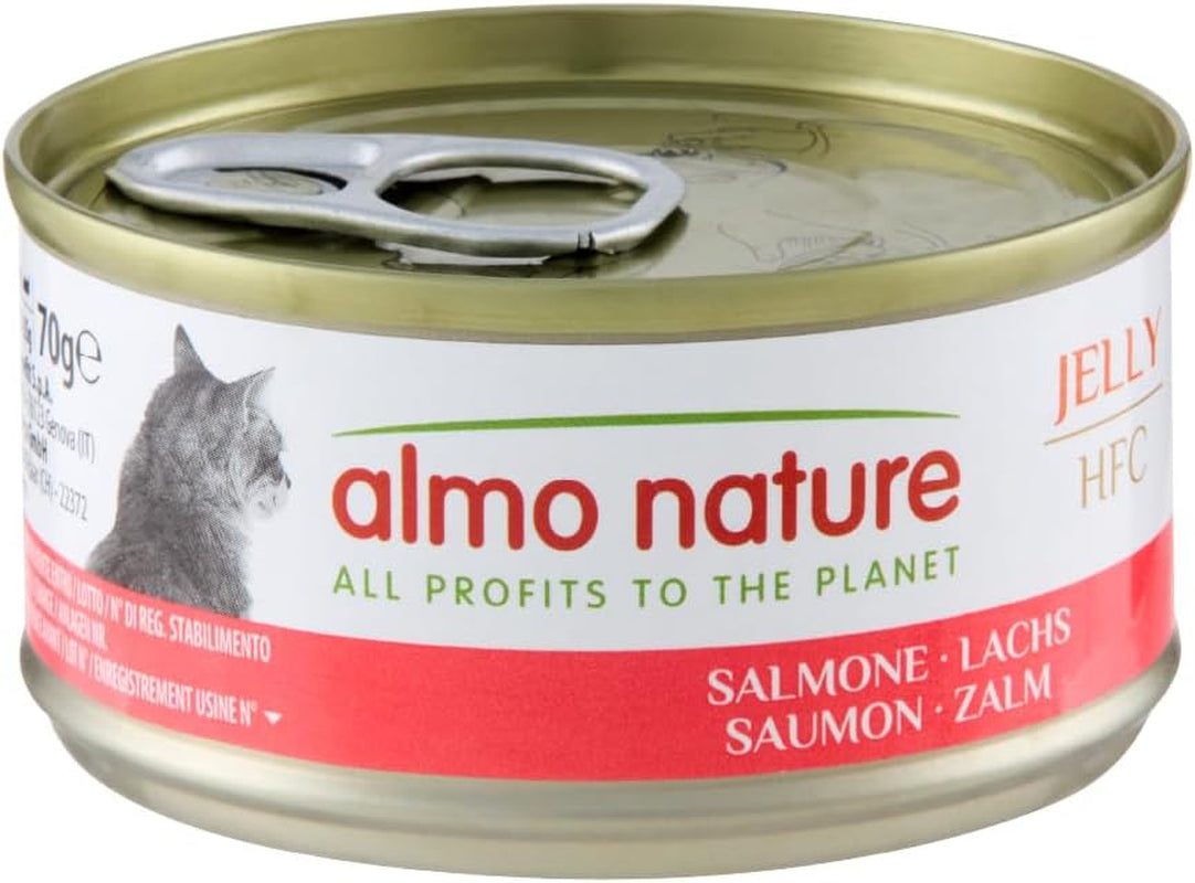 Almo Nature HFC Jelly - Nassfutter für ausgewachsene Katzen - Lachs - Human Grade, senza glutine e monoproteico - 6 x 70g