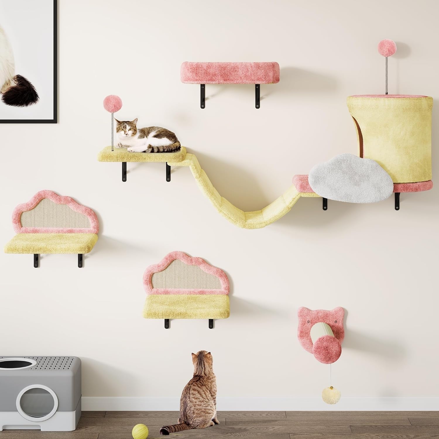 Coperte e Mobili, Animali Domestici, Gatti, Letti per gatti, Tiragraffi, Gatti - Letti, Materassi