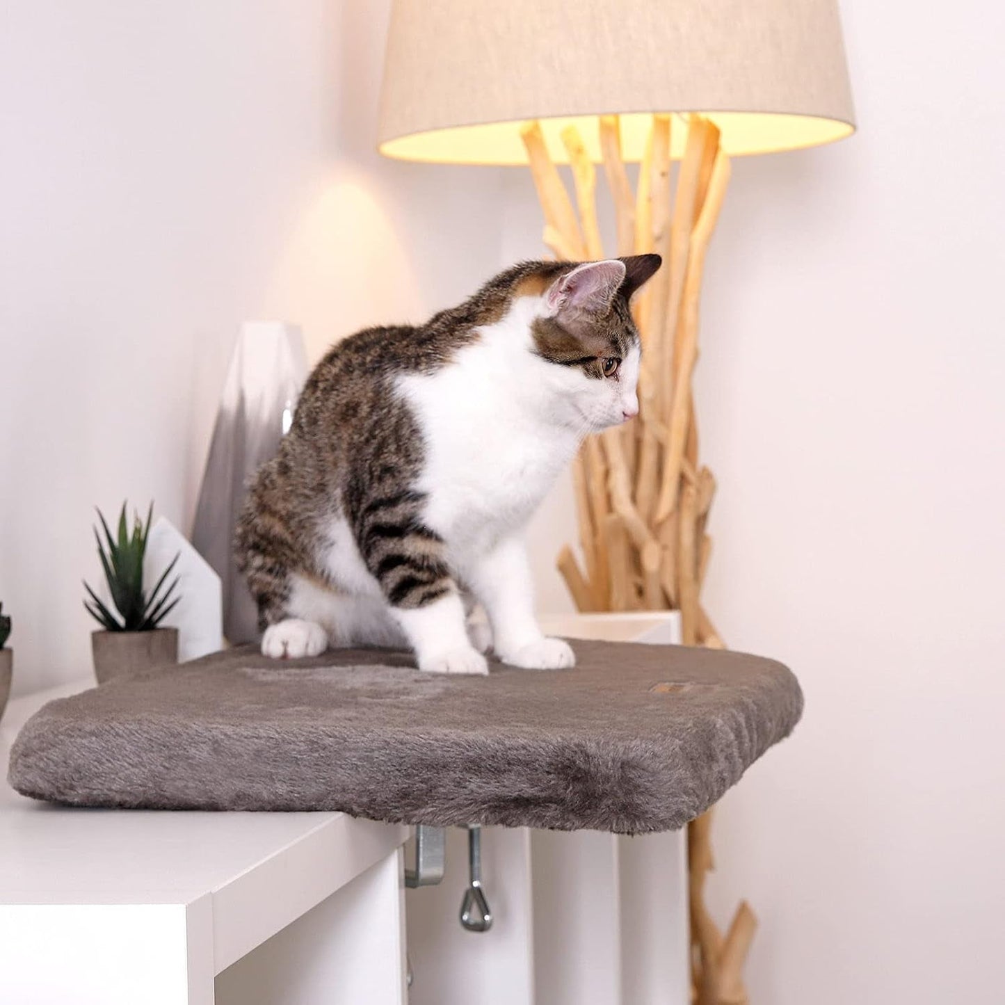 Coperte e mobili, Sedili vicino alla finestra, Animali domestici, Gatti, Letti per gatti, Gatti - Letti, materassi