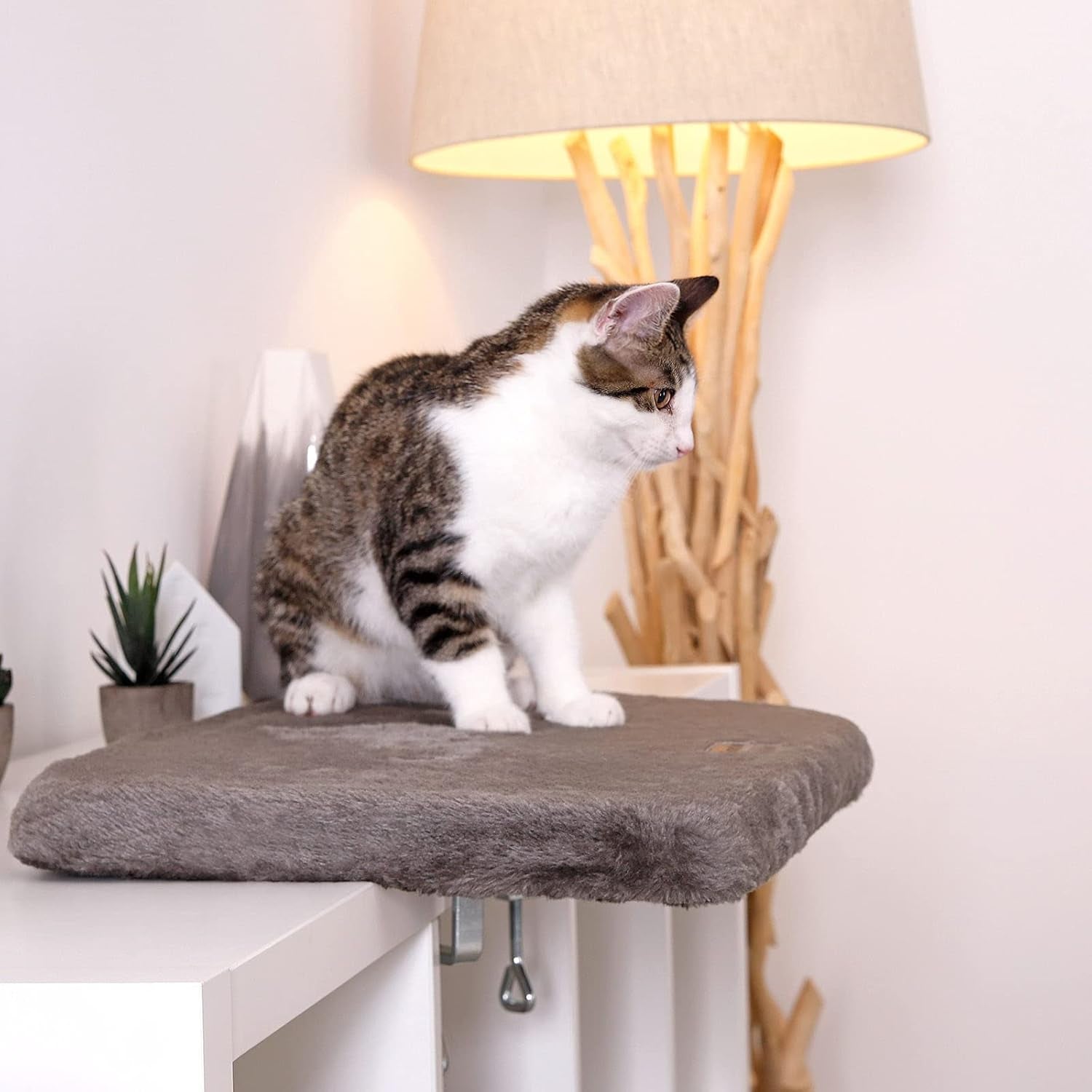 Coperte e mobili, Sedili vicino alla finestra, Animali domestici, Gatti, Letti per gatti, Gatti - Letti, materassi