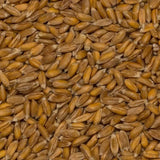 Grani di farro biologico Wholefood Earth – 3 kg | Non OGM | Vegano | Ricco di fibre | Certificato biologico