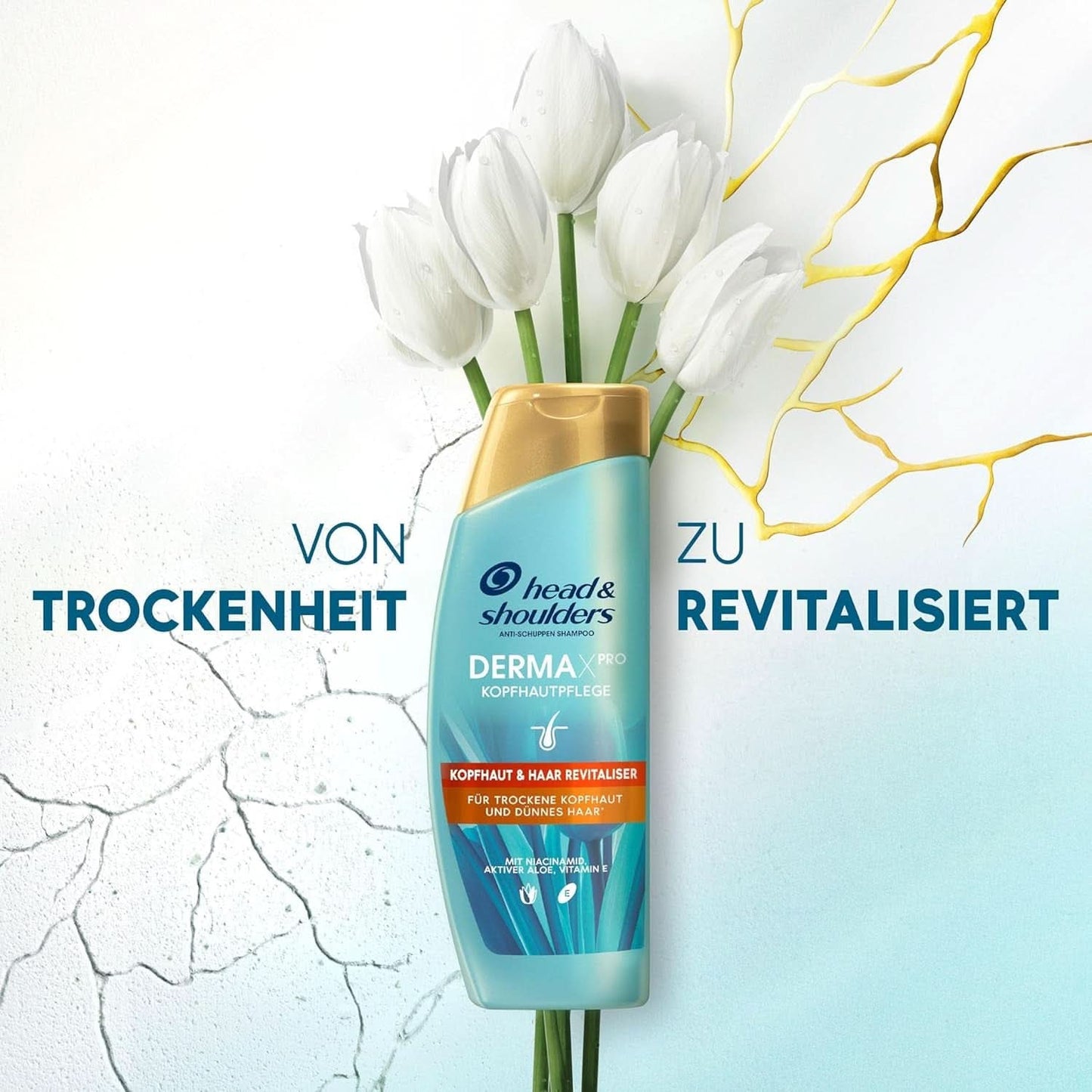 Derma X Shampoo Rivitalizzante, Testa e Spalle, 250 ml Doccia e Bagno Naty Shop