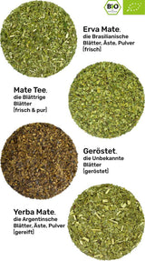 Set degustazione tè Mate ● 4 varietà di tè Mate biologico ● 100 g cadauna Erva Mate + Yerba Mate + Tè Verde Mate + Tè Mate Roasted