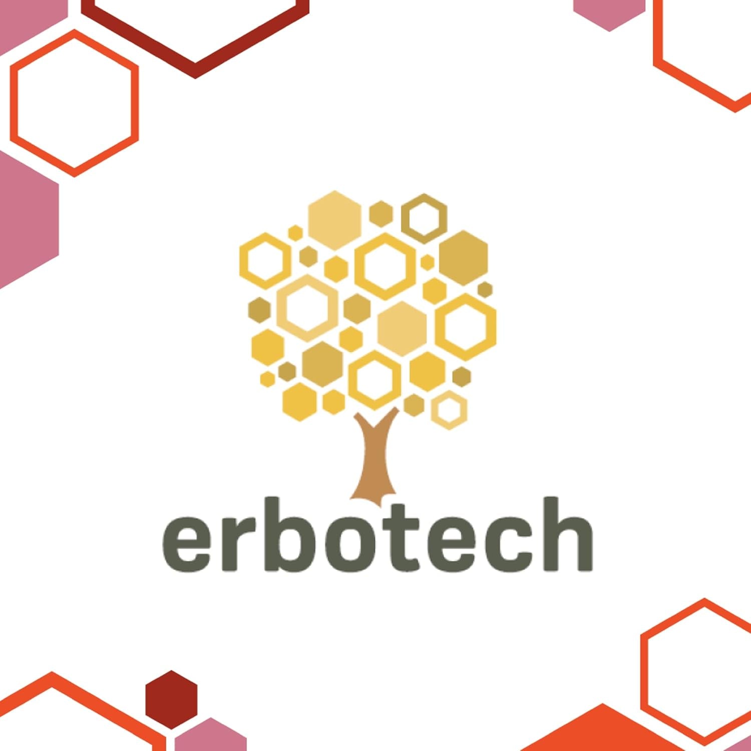 ERBOTECH Bacche di Goji 200 g, bacche di goji ad alto contenuto vitaminico, frutta secca senza zucchero e zolfo, superfood naturali e ricchi di energia, Made in Italy Prodotti disidratati Naty Shop