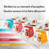 Consigli, mussola di salmone, con salsa, porzioni di pasto per gatti adulti, 4 x 57 g
