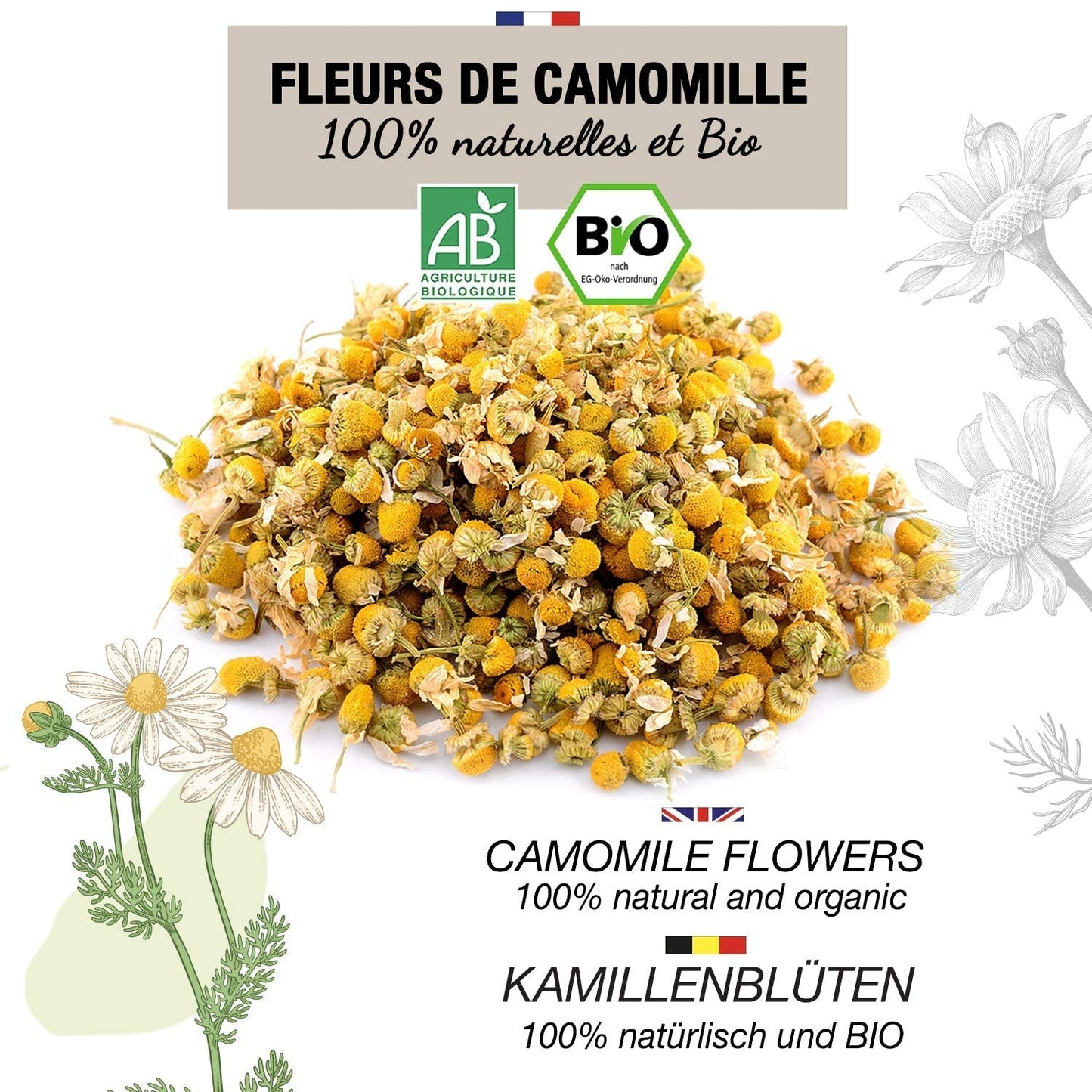 ORIGEENS Tisana ai fiori di camomilla biologica dall'Europa, 100 g | Tè sfuso, tè biologico per il sonno e la digestione | Camomilla tedesca | Certificato e confezionato in Germania