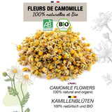 ORIGEENS Tisana ai fiori di camomilla biologica dall'Europa, 100 g | Tè sfuso, tè biologico per il sonno e la digestione | Camomilla tedesca | Certificato e confezionato in Germania