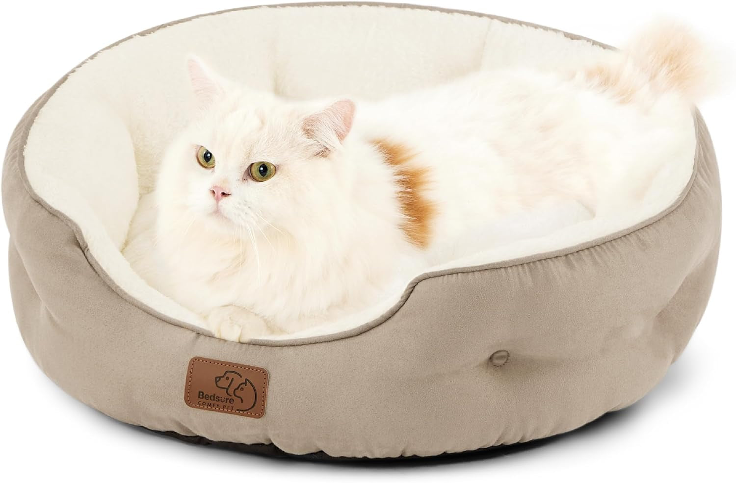 Letti e Divani, Coperte e Arredi, Animali Domestici, Gatti, Letti per gatti, Gatti - Letti, materassi