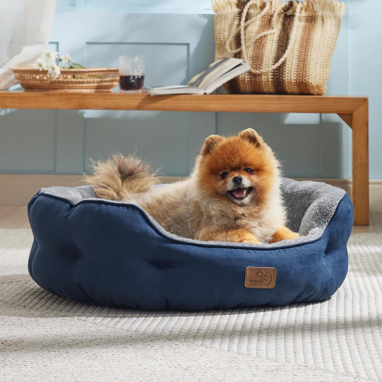 Letti, coperte e mobili, Animali domestici, Gatti, Cucce per gatti, Gatti - Letti, materassi