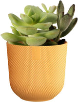 elho Jazz Round Mini 7 cm - Vasi da fiori per interni - 100% plastica riciclata - Ø 7 x H 6,5 cm - Giallo/Ambra