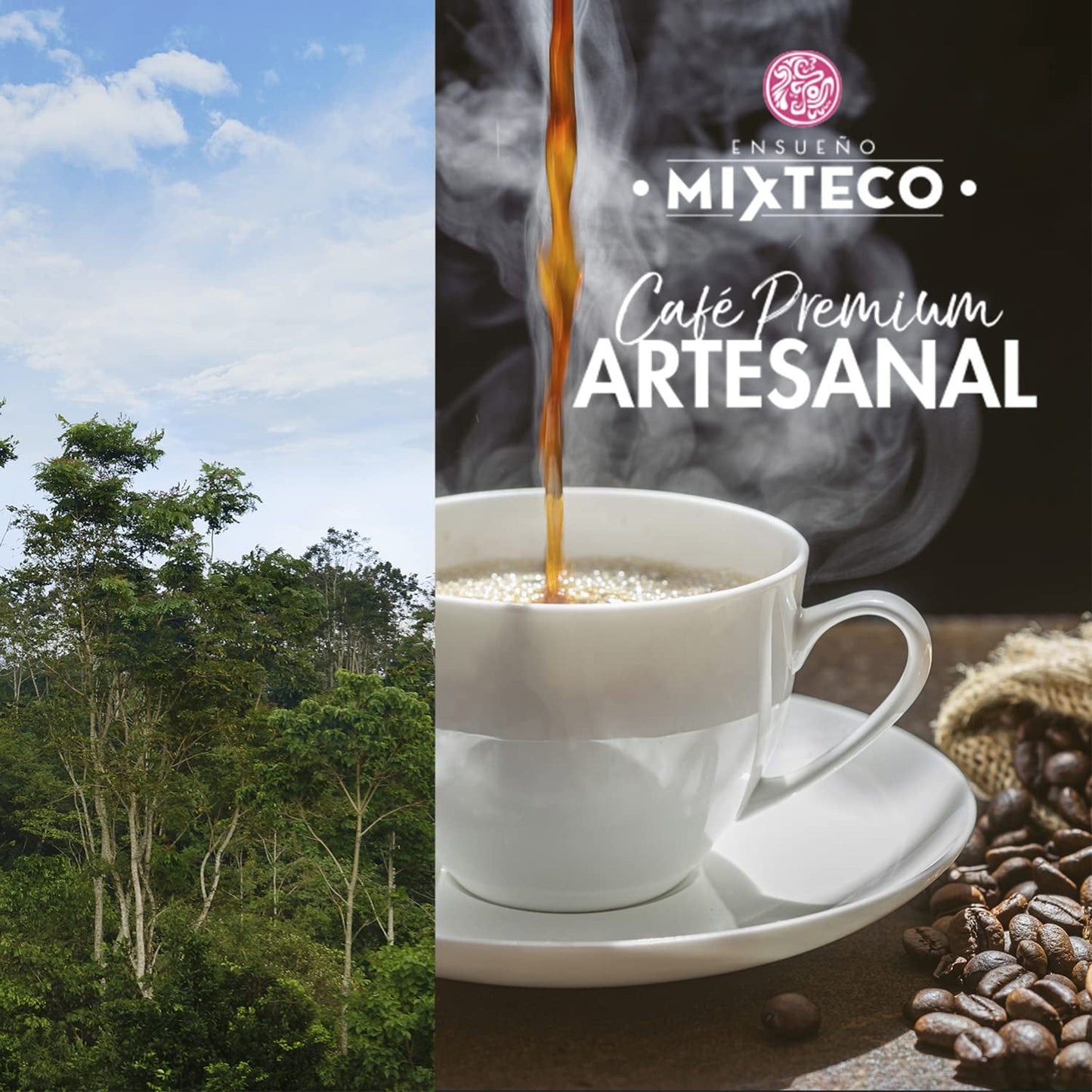 Chicchi di caffè Arabica tostati | 500 g con sentori di cacao e mandorle | Da una torrefazione tradizionale | Gusto delicato