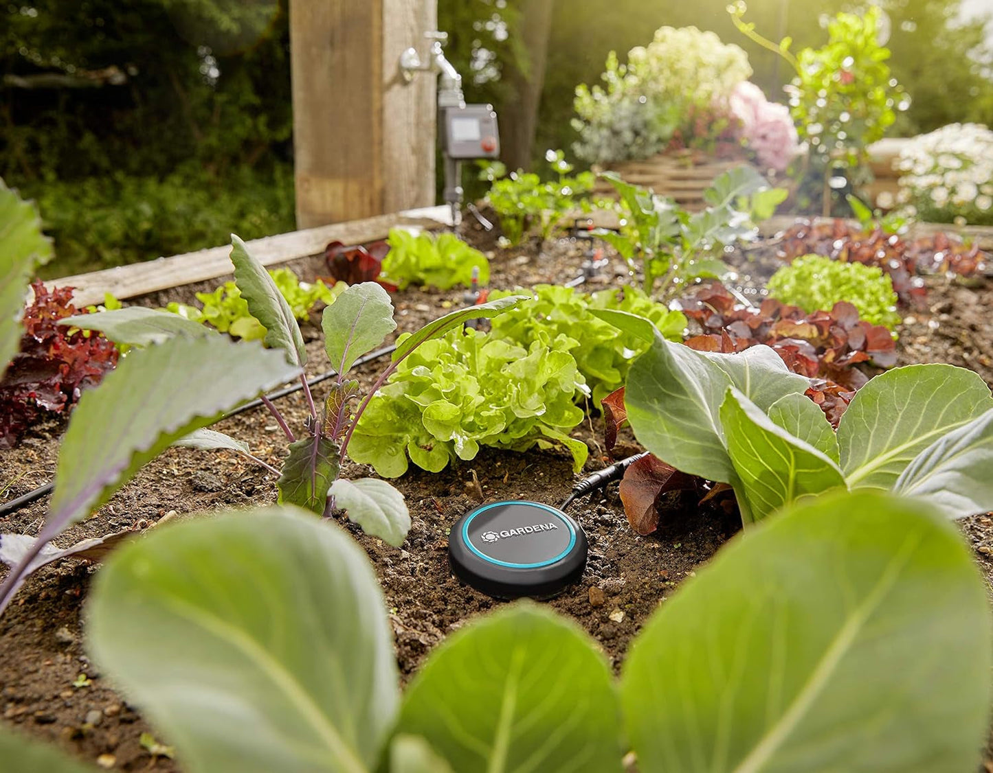 Cavo di prolunga Gardena (10 m) per sensore pioggia e sensore umidità del suolo, cavo di collegamento con sistema Easy Click, estensibile fino a 105 m, per uso sopra e sotto terra (01868-20)