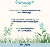 almo nature Functional Urinary Help - Alimento umido per gatti adulti con salmone - Supporta la salute delle vie urinarie - 30 buste da 70 g ciascuna
