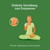 Yogi Tea - Tulsi Serenity Tè ayurvedico alle erbe biologico Senza caffeina Miscela Tulsi "Sacro" Basilico Liquirizia e Arancia Tè Yogi Confezione da 3 3x17 bustine di tè (51 bustine di tè)