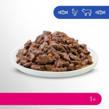 Selezione di cibo umido Perfect Fit Adult 1+ con salmone, pesce di acque profonde, manzo e pollo, 48 bustine, 12x85 g (confezione da 4) - Cibo umido premium per gatti adulti a partire da 1 anno di età